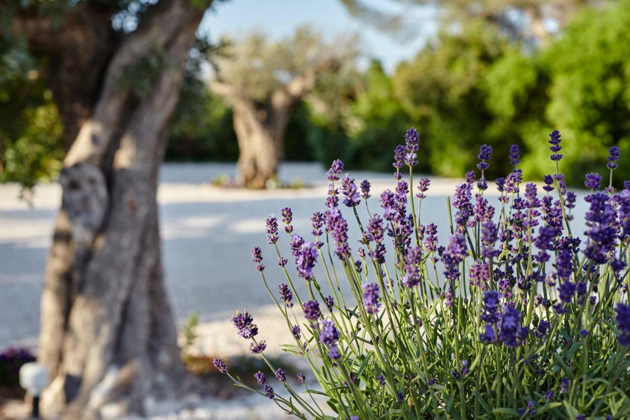 Bed and Breakfast Agapanto Masseria Конверсано Екстер'єр фото